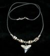 Fossil Bull Shark Tooth Necklace #3536-1